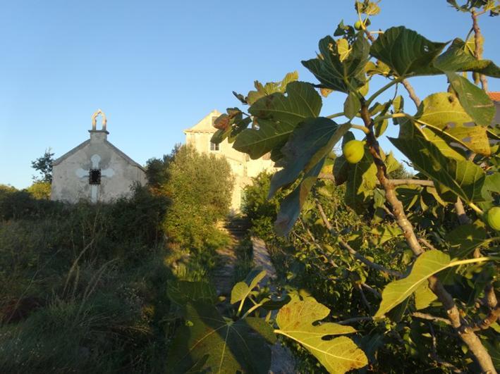Villa D House Authentic Zlarin House, Relaxing Courtyard And Terrace Esterno foto